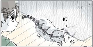 猫が家の物を隠す方法。テーブルの上のハガキに興味を持って...／夜は猫といっしょ3