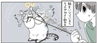 これが猫...。荷物ひもには大興奮なのにこっちは...なぜなのか／夜は猫といっしょ3