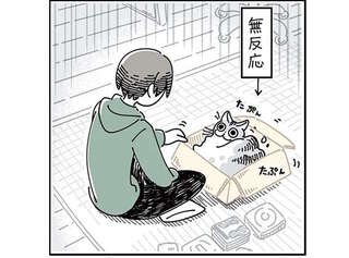 片づけを邪魔しに来た猫。構ってほしいのかと遊んでみると...／夜は猫といっしょ3