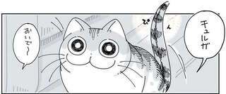 目が合うと、甘えたそうにする猫。でも、どうしてそこで...？／夜は猫といっしょ3