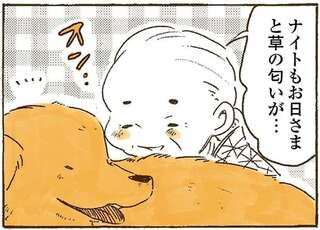 干した布団はお日さまのいい匂い。愛犬のレトリバーも同じだと思ったら...あれ？／姫ばあちゃんとナイト