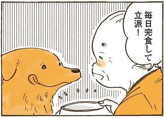 愛犬のレトリバーは毎日完食してるけど同じ味で飽きない!? おばあちゃんは新婚時代も思い出して／姫ばあちゃんとナイト