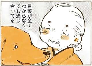 おばあちゃんとレトリバーは目と目で会話できる。真似してみたら...あれ？／姫ばあちゃんとナイト