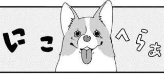 「怒ってる？」いたずら好きな愛犬コーギーの「危機察知能力」が...／あしょんでよッ3