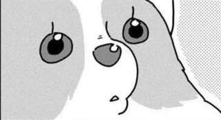 愛犬コーギーがパッと振り返る一言。「こら！」ではダメだけど...／あしょんでよッ3