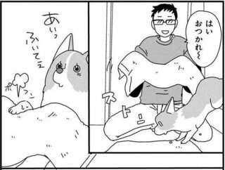 愛犬コーギーとお風呂。おりこうな姿が...かわいい！／あしょんでよッ4