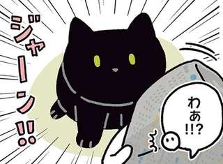 猫がしかける「いないいないばあ」。わくわくしている姿がかわいい！／黒猫ろんと暮らしたら4