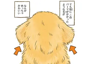 ゴールデンレトリバーの後頭部を見て。ついこれをやってしまう...！／今日もゴールデンレトリバーに癒されて