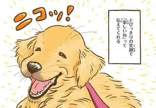 愛犬のレトリバーとびっきりの笑顔だけど...雨の日の散歩は超大変／今日もゴールデンレトリバーに癒されて
