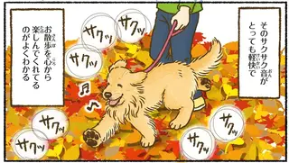 愛犬を一緒に季節を楽しむ。レトリバーが絵になる瞬間は／今日もゴールデンレトリバーに癒されて