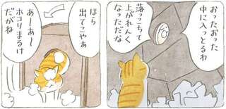 子猫時代のタマが発見！ じいちゃんの子どもの頃のポエムが眠る「タイムカプセル」／ねことじいちゃん6