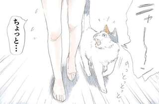 猫の逆切れ!? 自分で足にまとわりついてきた猫を踏んでしまったら／拾い猫のモチャ1