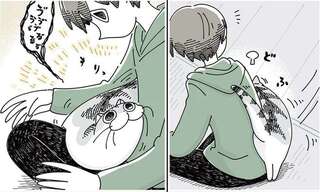 猫をたっぷり撫でた直後。一心不乱な行動に「切ない...」／夜は猫といっしょ4