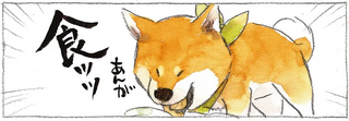 なぜなんだい!? うちの柴犬のヘンな食べ方／柴犬ぽんちゃん、今日もわが道を行く２