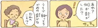 今日は50年来の友だちと女子会！ かめたちを見つけた友人の反応は？／おばあちゃんとかめ