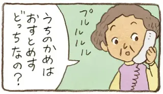 うちのかめは雄なの？雌なの？成長を見守る2人の疑問に息子が教えてくれたのは／おばあちゃんとかめ