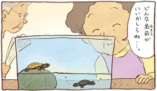 名前の由来はそこから⁉ 母の名づけにあきれた息子だったけど自分も？／おばあちゃんとかめ