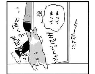飼い主の帰りを待ちわびた愛犬・コーギー。その可愛い（？）行動が...／あしょんでよッ3