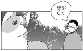 この人は、ボクが好き！ 愛犬コーギーの「ナンパ」が積極的すぎ／あしょんでよッ4