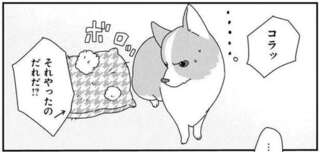 イタズラした愛犬コーギーを叱った結果。目を合わせたら負け？／あしょんでよッ5