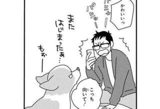 長時間、留守番した愛犬コーギーの抗議は心に刺さる。じっと見つめてきて...／あしょんでよッ6