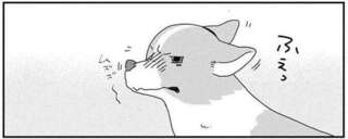 ワンコのくしゃみが巻き起こした「悲劇」。ピタゴラ...？／あしょんでよッ6