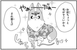 換毛期の愛犬コーギーに服を着せてみた。 胴長なワンコだけに...／あしょんでよッ7