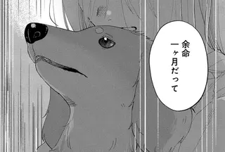 17年一緒だった愛犬が「余命1カ月」と診断された日。私にできることは...？／アルへ