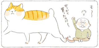 「何がお気に召さんのじゃ」じいちゃんは猫のおもちゃのツボが分からない／ねことじいちゃん9