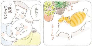 「ご機嫌じゃないか」出先で見かけた猫。仲のいい猫も現れて...／ねことじいちゃん11