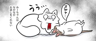 たまには「お返し」がほしい猫。待ち望んだ瞬間は「意外な結末」に／マジレス幼児とモンペ猫