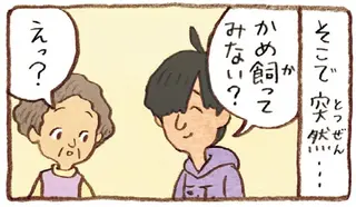 息子がくれた二匹の子がめ。仕事を引退した夫と一緒に「飼ってみようか」／おばあちゃんとかめ