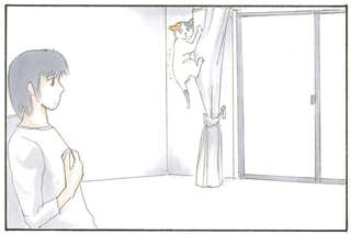 嘘でしょ!? 猫が熱烈にすり寄ってきたのでチューしようとしたら？／拾い猫のモチャ1