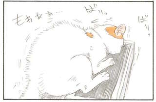 猫が爪とぎに夢中。ずっと見守っていたら...え？／拾い猫のモチャ1