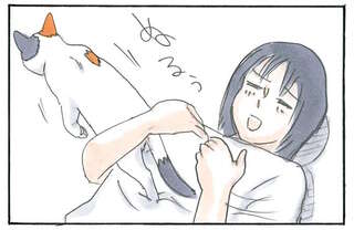 猫のスルースキル。「おいでー」と呼ぶ飼い主に応えたと思ったら？／拾い猫のモチャ3