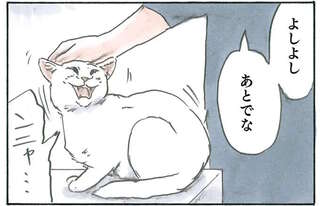 保護した子猫は遊びたい盛り。仕事を邪魔された父の「隠せない本音」／拾い猫のモチャ4