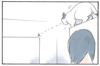 猫を飼っているとこんな日もある？ 「一日中こんな感じ」の休日／拾い猫のモチャ4