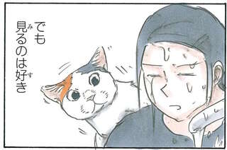 猫と水場あるある。「水がかかるのは嫌だけどなぜか見たい」／拾い猫のモチャ4