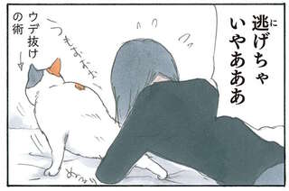 「猫なし生活」の禁断症状。久しぶりに帰省した娘の暴走に猫も逃走!?／拾い猫のモチャ5