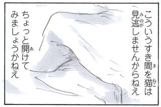 猫が作った「巣穴」。中を見てみたら...え？／拾い猫のモチャ6