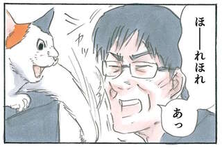 猫と飼い主のじゃれあい。加減を分かってくれてるはずが...「調子こいた」／拾い猫のモチャ6