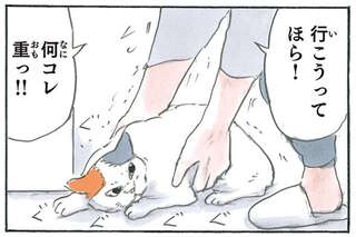 なぜ猫はこんなに重くなるのか。動きたくない猫の「謎の粘り」／拾い猫のモチャ6