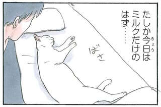 「一緒だったならいいか」寝過ごした休日を幸せにしてくれる猫／拾い猫のモチャ6