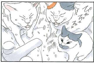 水かかるの分かってても...猫が洗面台に。何も起きないはずがなく？／拾い猫のモチャ7