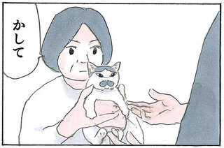 完全になじんだ保護猫。父が抱っこしたら「ゴロゴロ」、母が抱っこしたら...え？／拾い猫のモチャ7