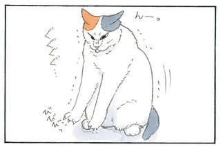 「猫と箱」の不思議。自分で入るのはいいけど...なんで？／拾い猫のモチャ8