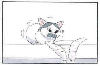 撮れた！ 飼い主がカメラに収めたかった猫の「ある瞬間」とは？／拾い猫のモチャ8