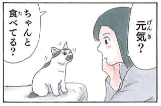 猫が「喋りたそう」。飼い主が話しかけてみたら、まるで...／拾い猫のモチャ8