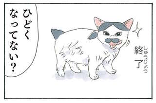満足そうだけど、え？ 子猫の毛づくろいの結果が残念すぎた／拾い猫のモチャ8