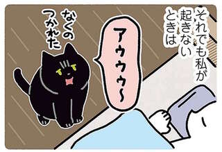 ンニャー！ 猫の激しいモーニングコール。それでも起きないと...えっ!?／黒猫ろんと暮らしたら4